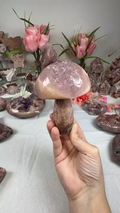 plant/pink amethyst mushroom A10057-0-thumbnail
