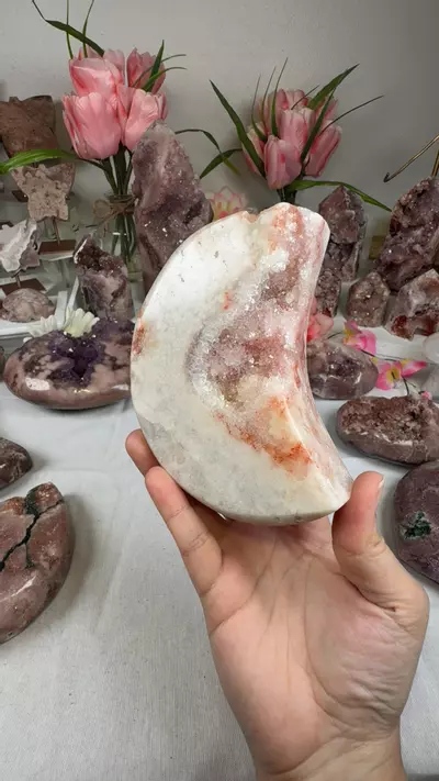 plant/pink amethyst moon A10074-0-thumbnail