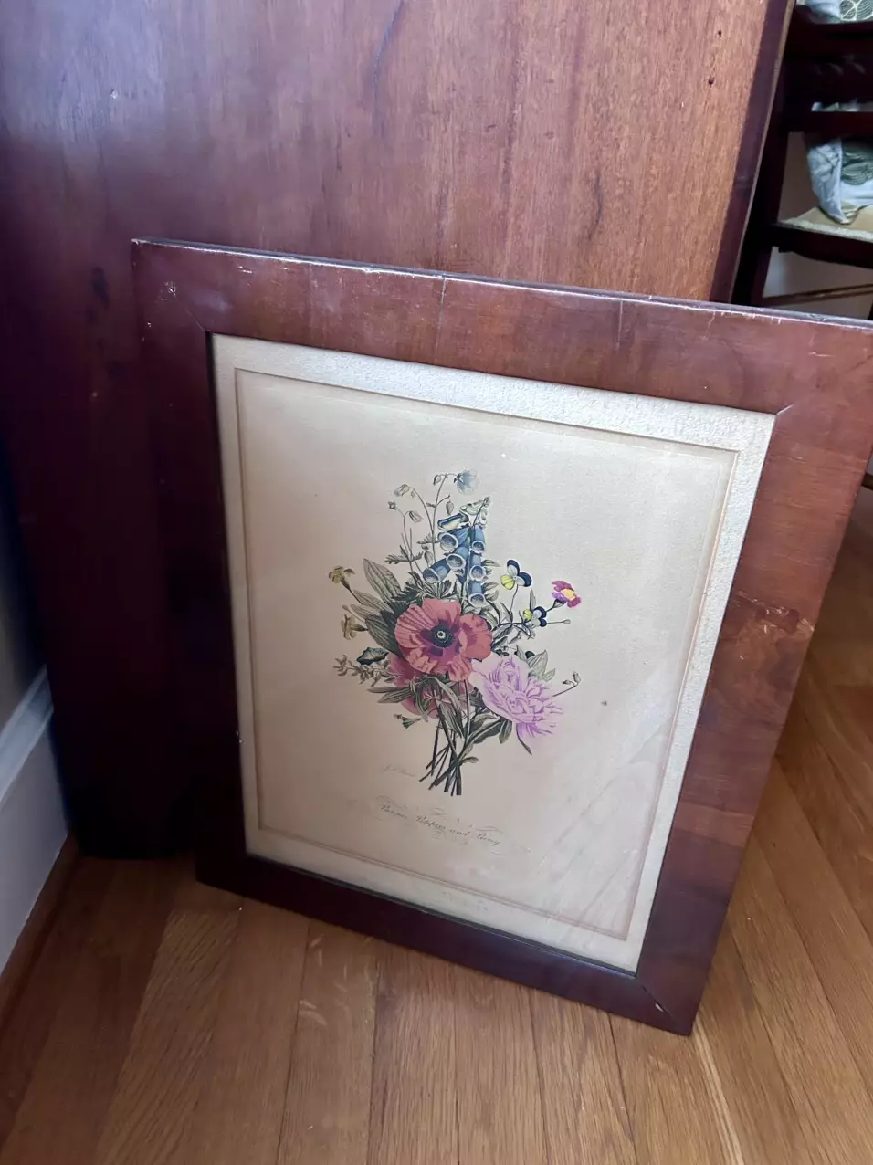 plant/Large Floral Lithograph-3