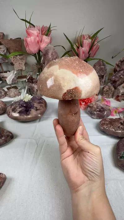 plant/pink amethyst mushroom A10050-0-thumbnail