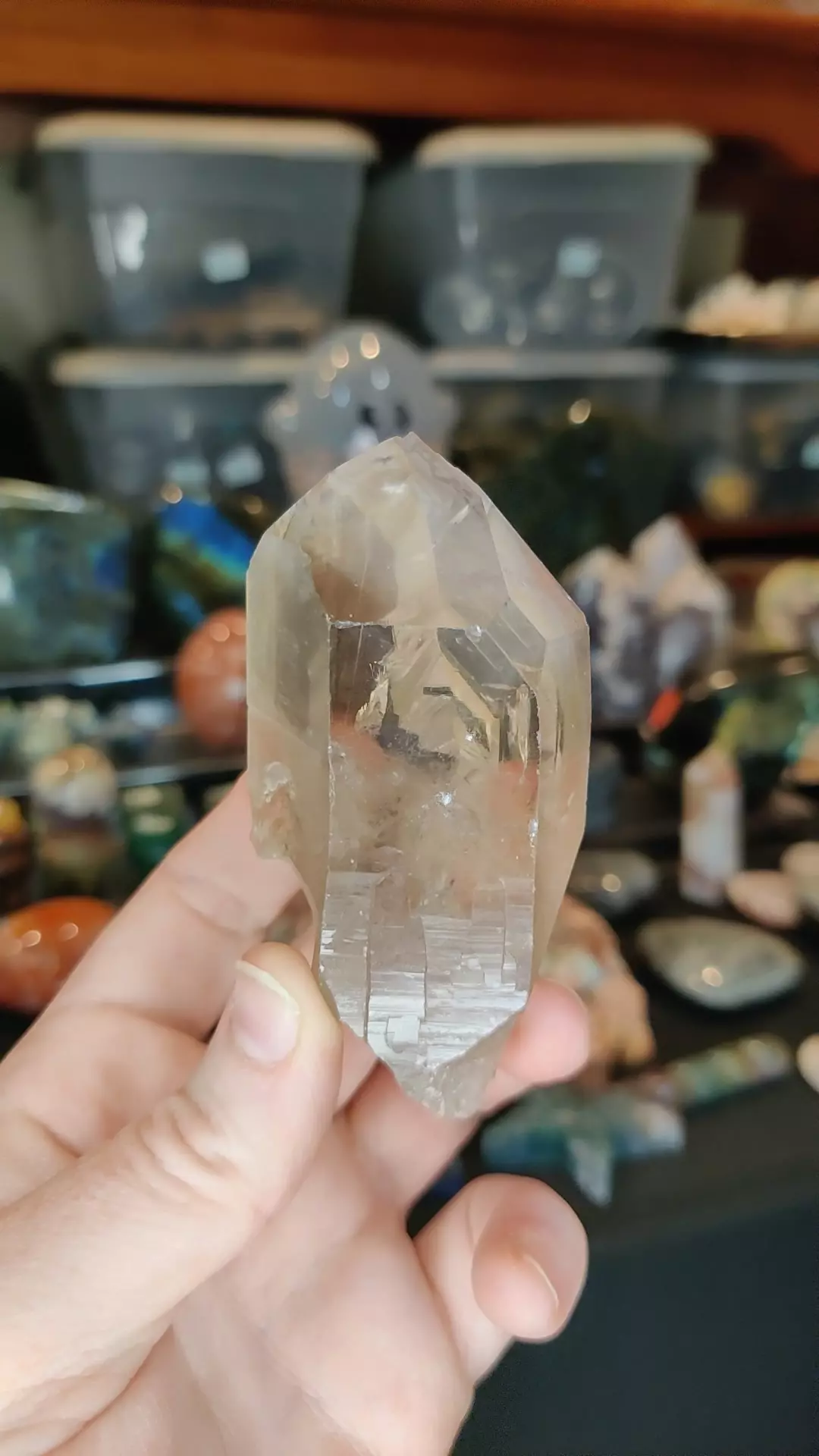 plant/Smoky Quartz Lemurian Big Connection Point Brazil-0