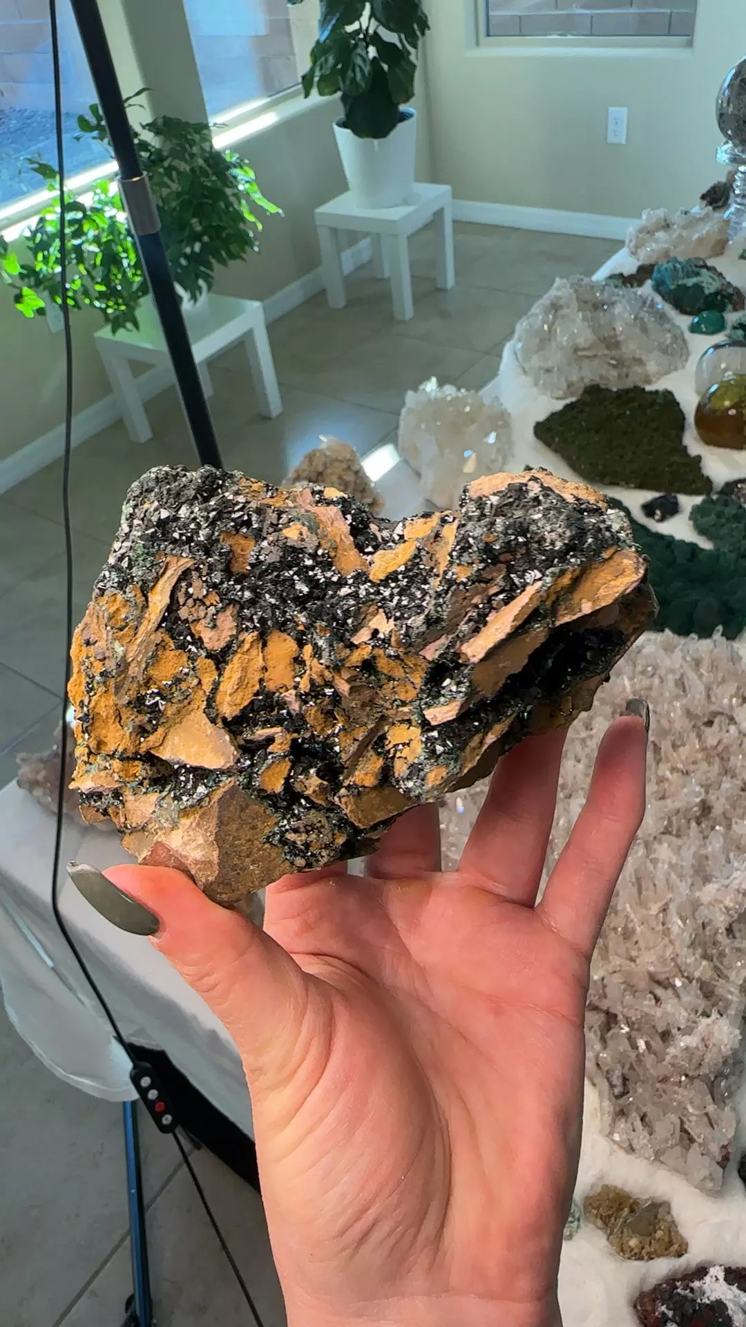 plant/Libethenite 400-0