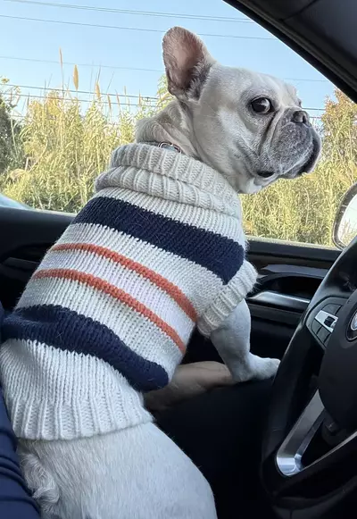 plant/heat pack plus insulation-0-thumbnail