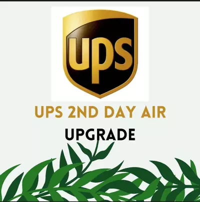 plant/UPS 2-day upgrade-0-thumbnail