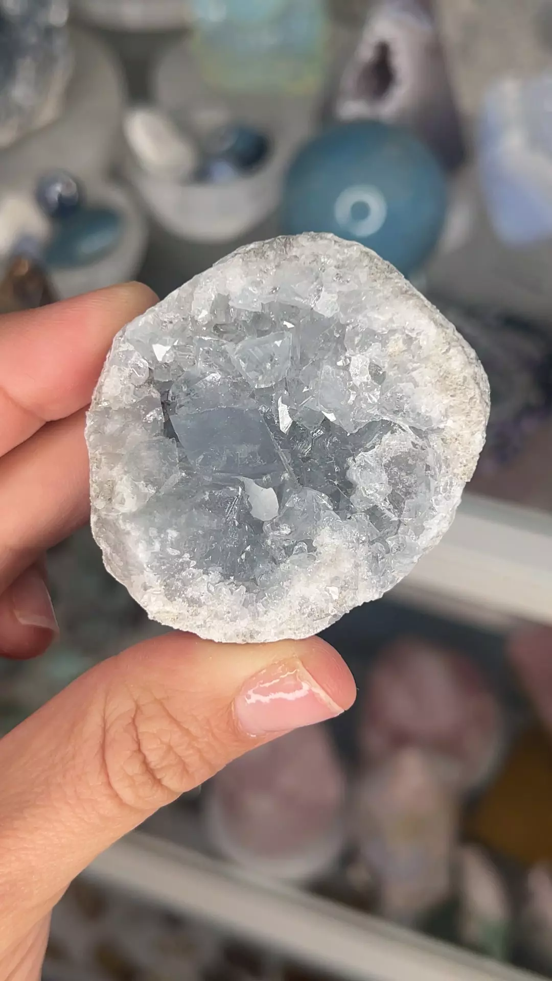 plant/Blue Celestite Geode 26B-0