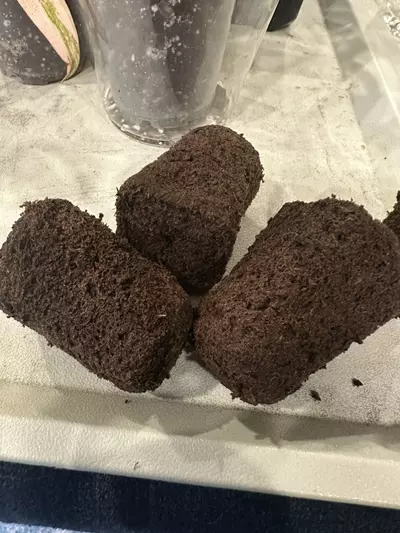 plant/Brownie Plug 5pk-0-thumbnail