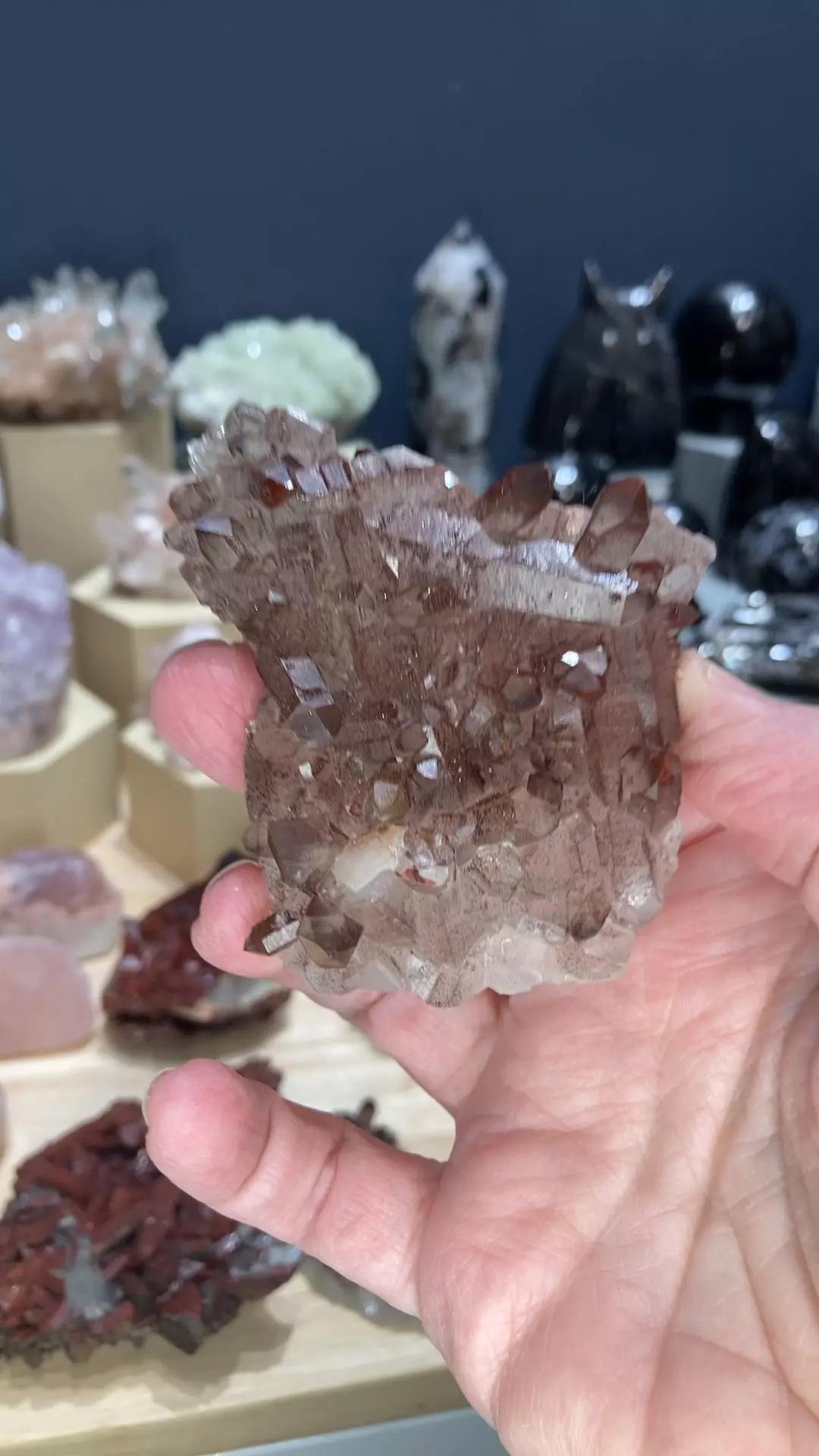 plant/hematite quartz-0