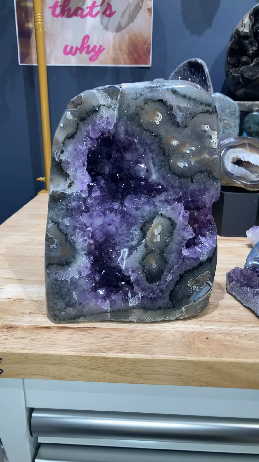 plant/amethyst cut base-0