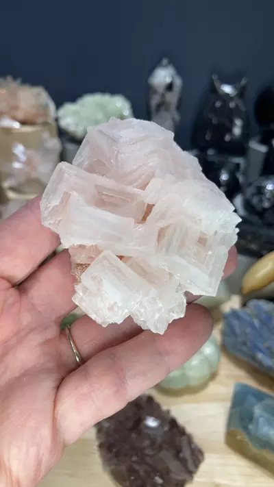 plant/halite-0-thumbnail