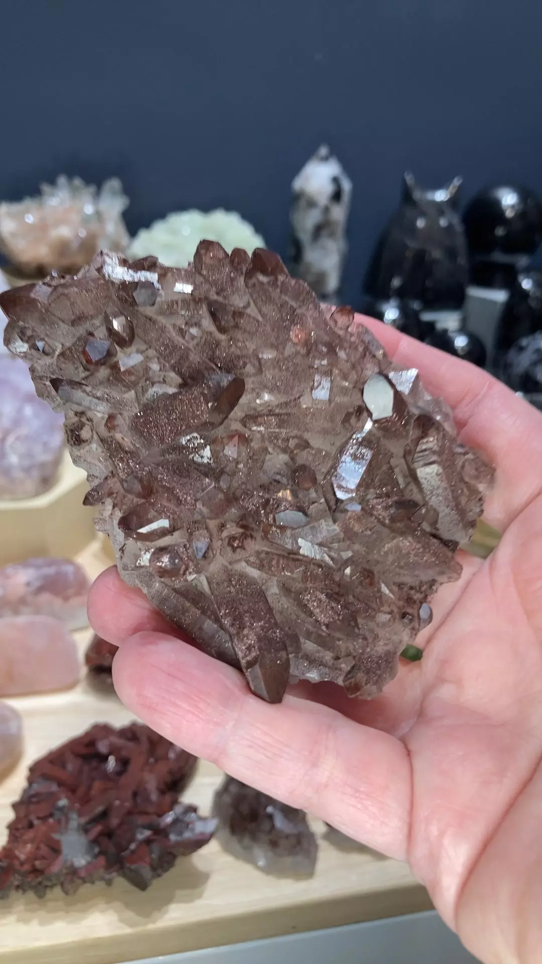 plant/hematite quartz-0