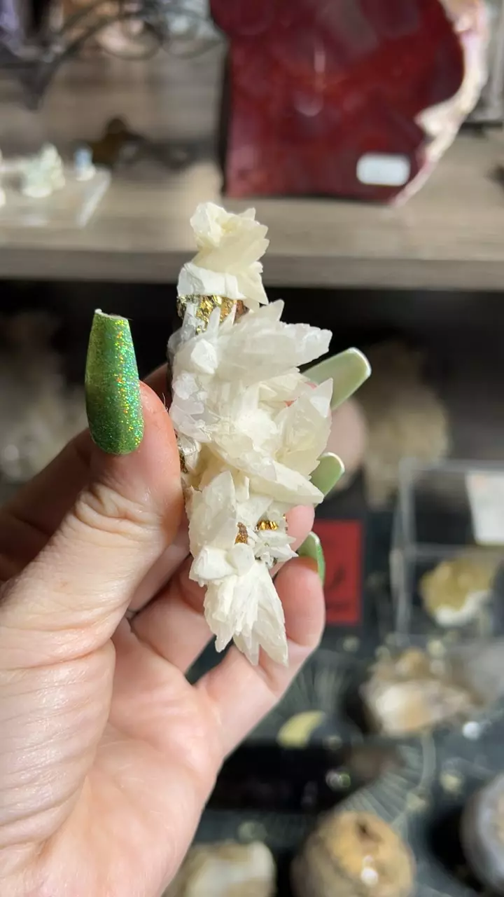 plant/Calcite Marcasite Sphalerite-0