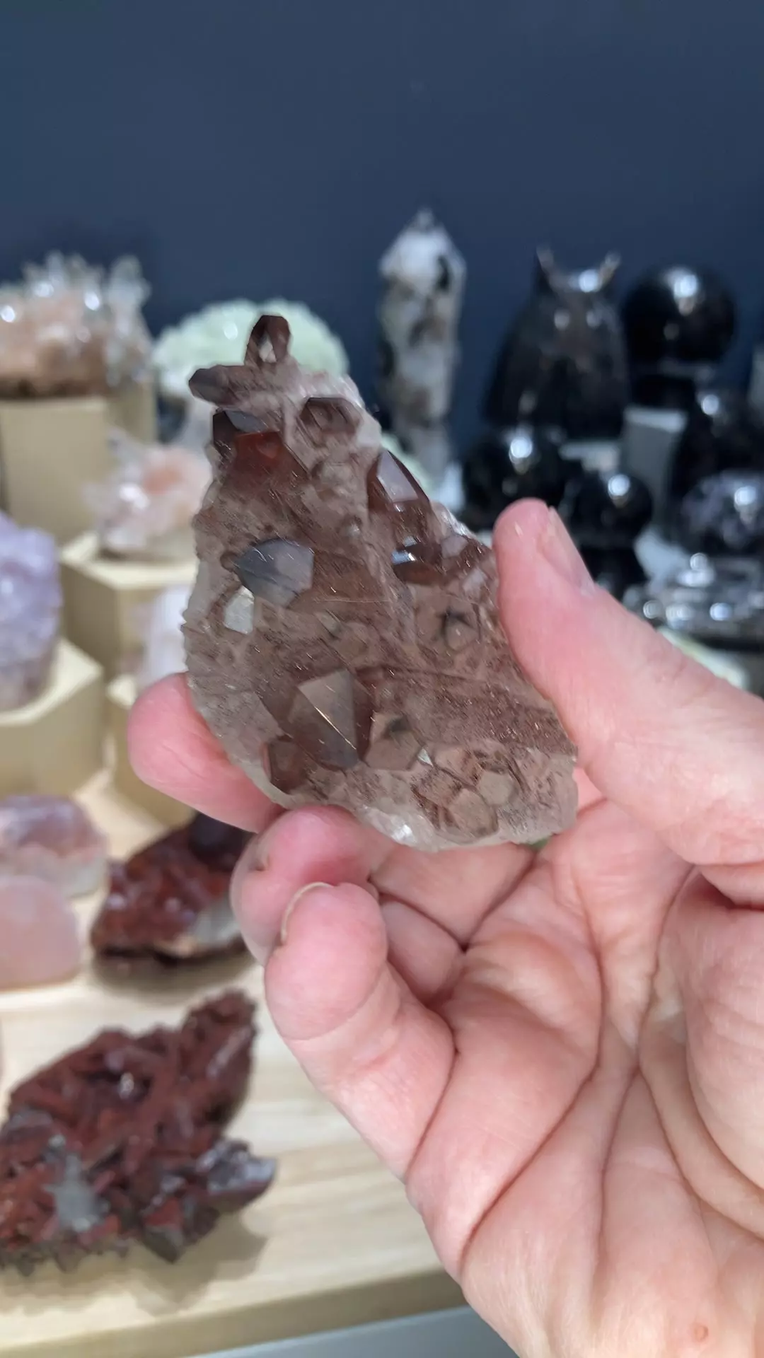 plant/small hematite quartz-0