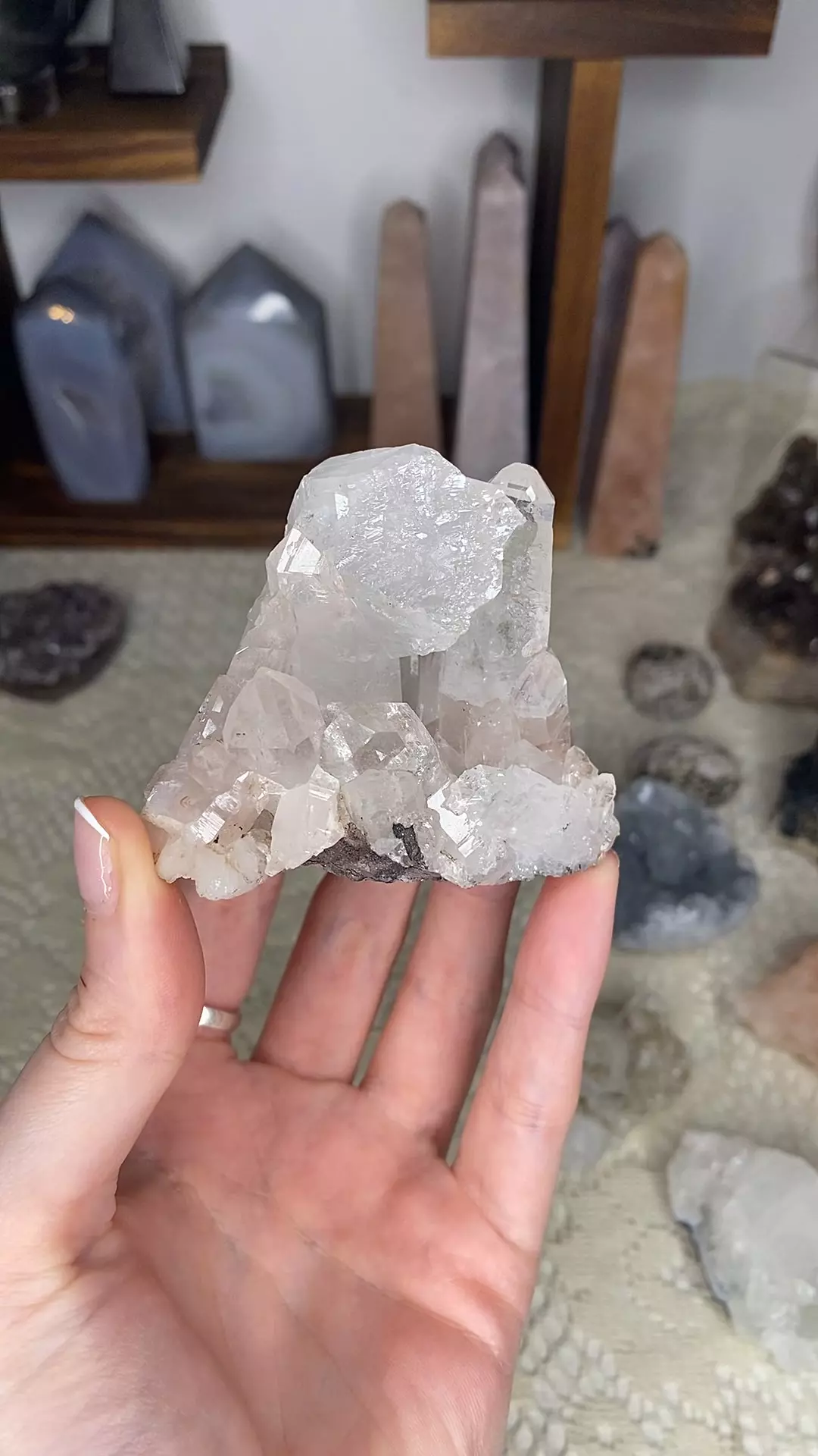 plant/Pink Lemurian from Colombia-0