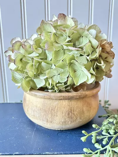 plant/Hand turned wooden bowl 5 x 2 1/2-0-thumbnail