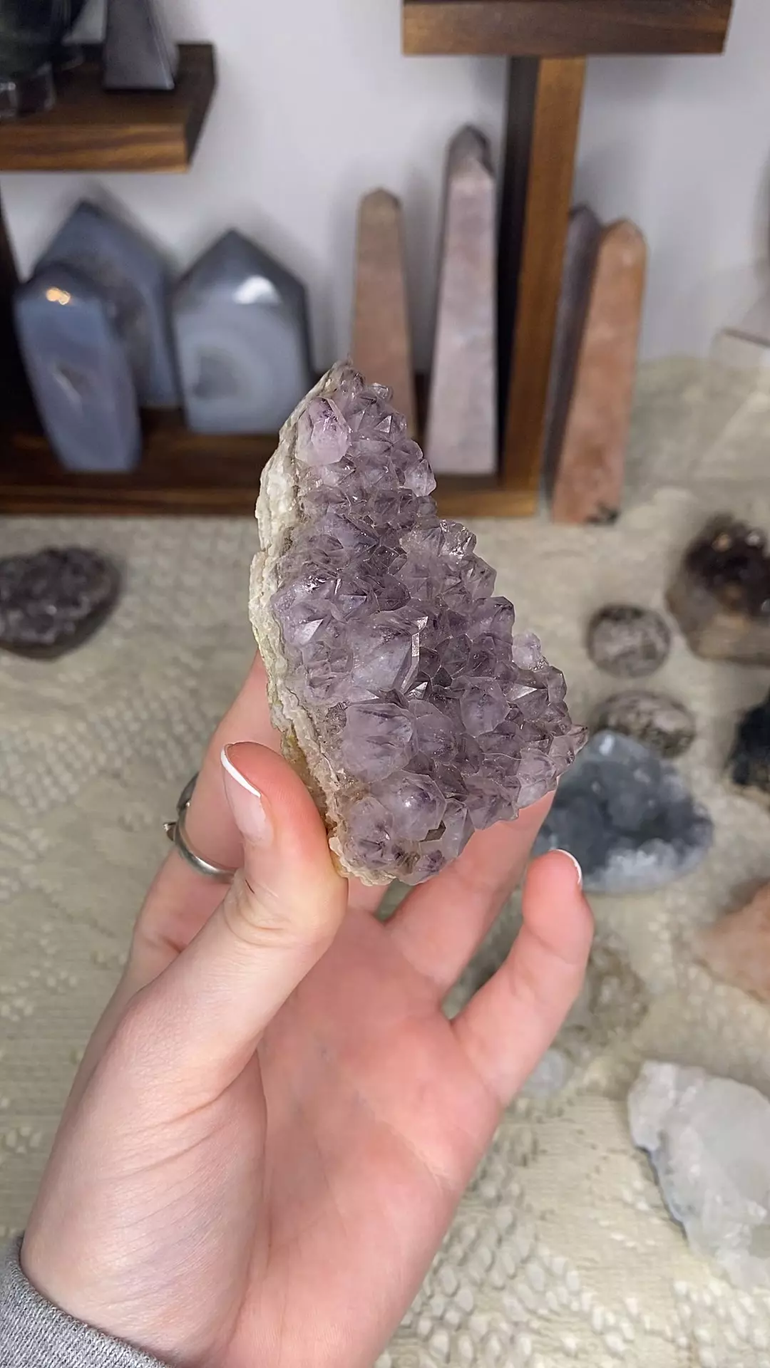 plant/Orange River Amethyst from South Africa-0