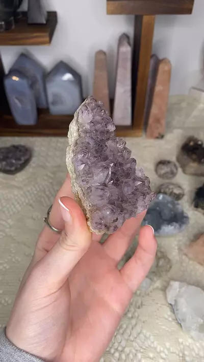 plant/Orange River Amethyst from South Africa-0-thumbnail