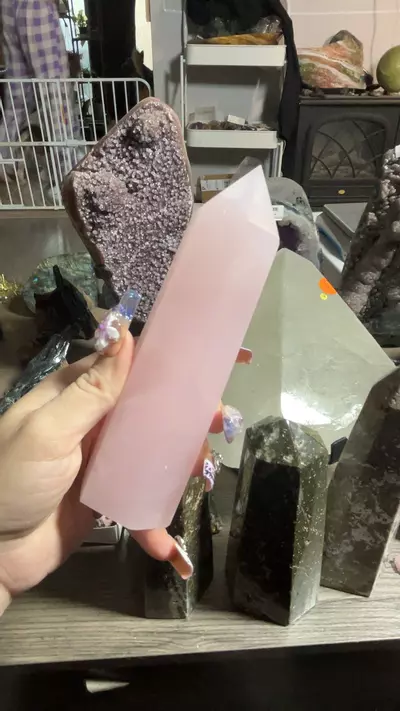 plant/Mangano Tower-0-thumbnail