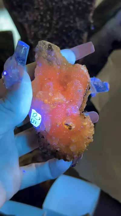 plant/Godzilla Calcite-0-thumbnail