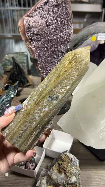 plant/OJ Tower-0-thumbnail