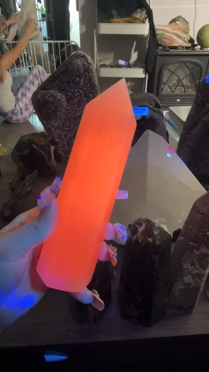 plant/Mangano Tower-0