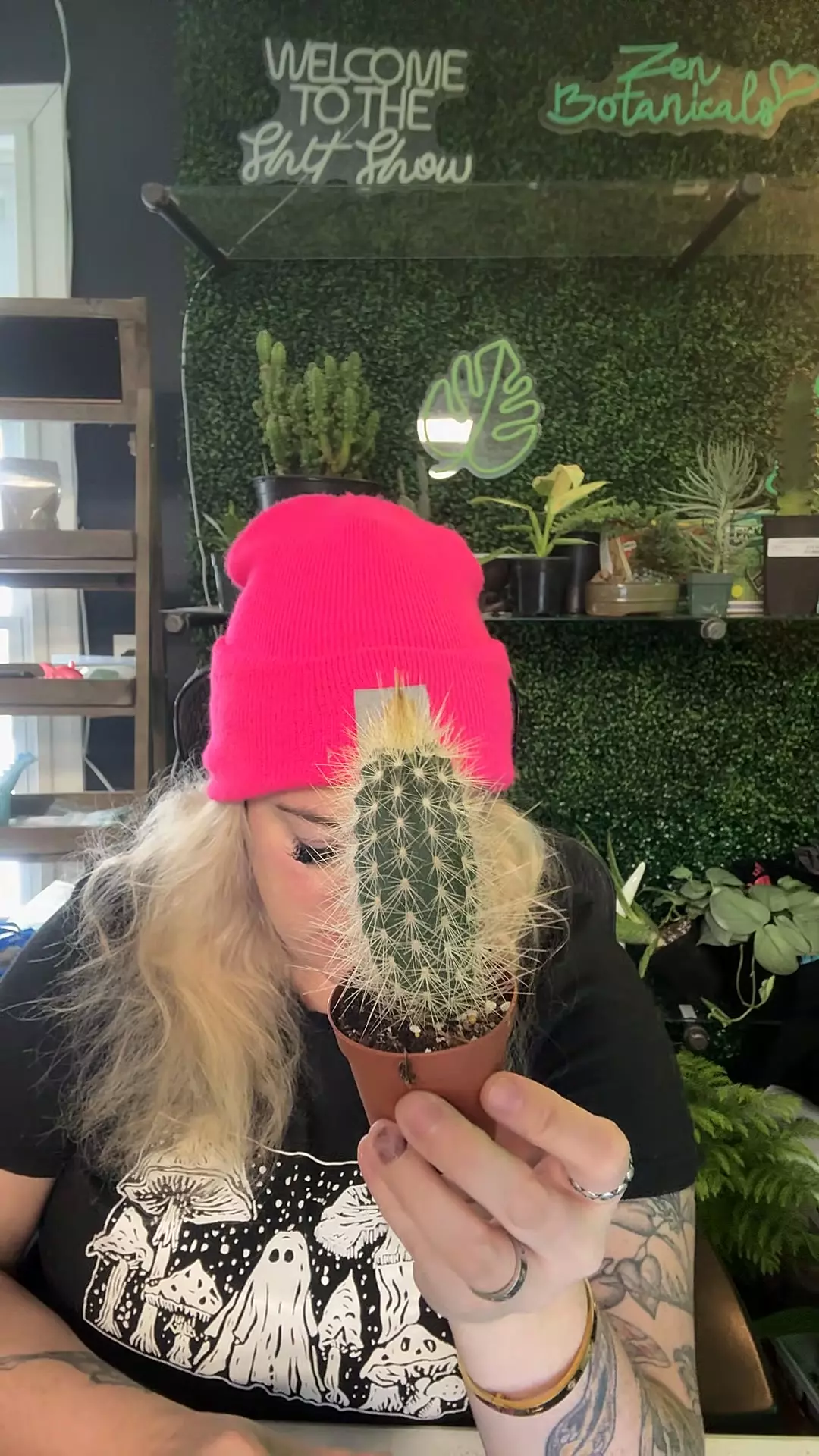 plant/pilocereus baumii-0