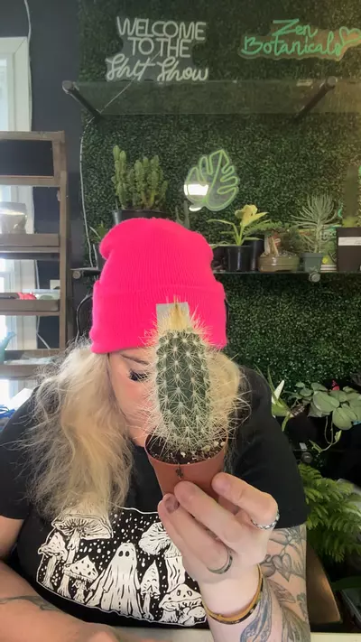 plant/pilocereus baumii-0-thumbnail