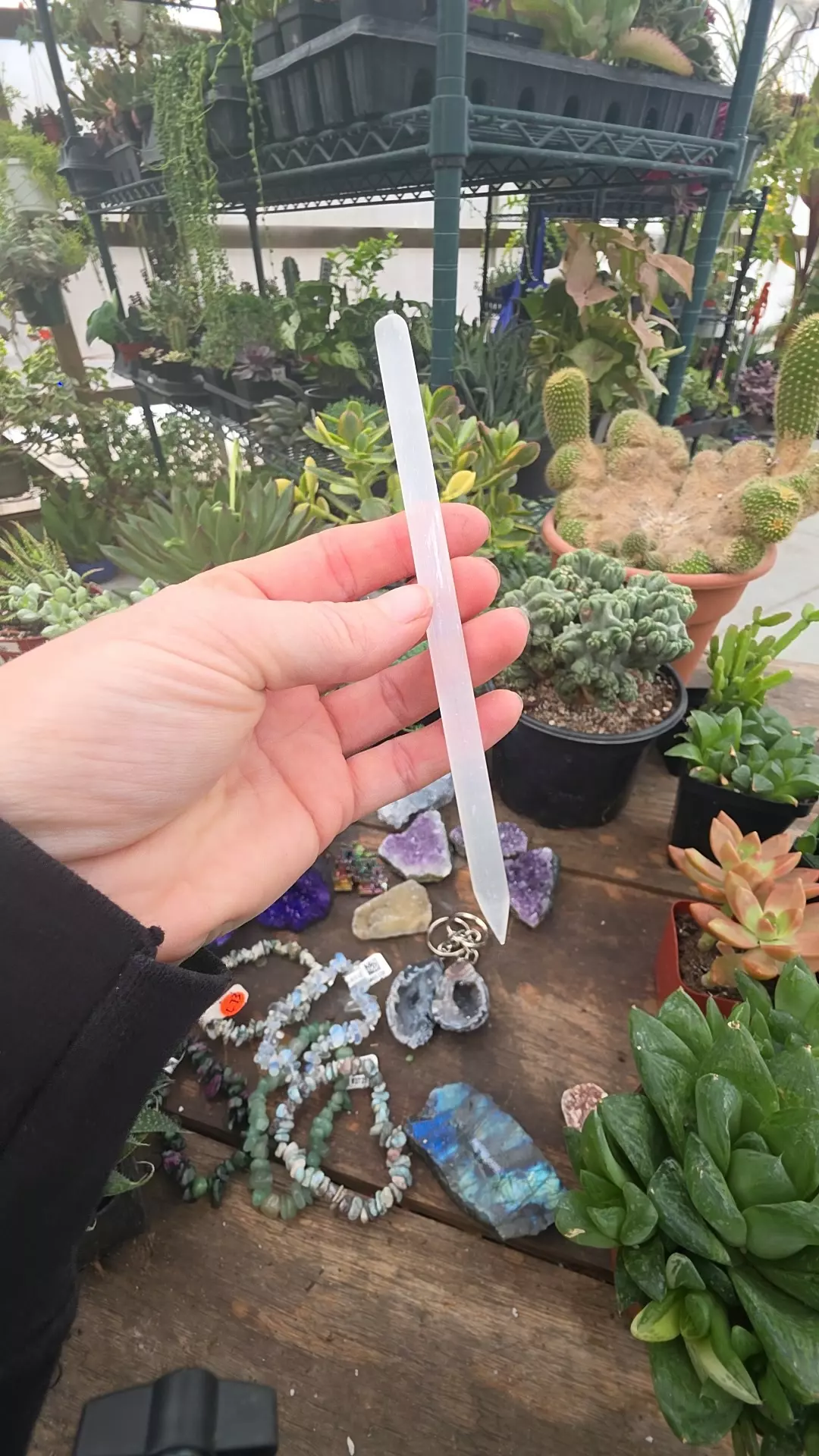 plant/selenite wand-0