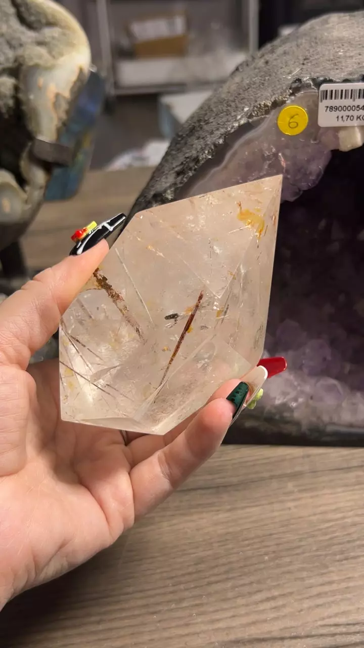 plant/Rutilated quartz Inner Mongolia-0