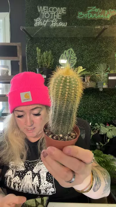 plant/pilocereus chrystostele-0-thumbnail