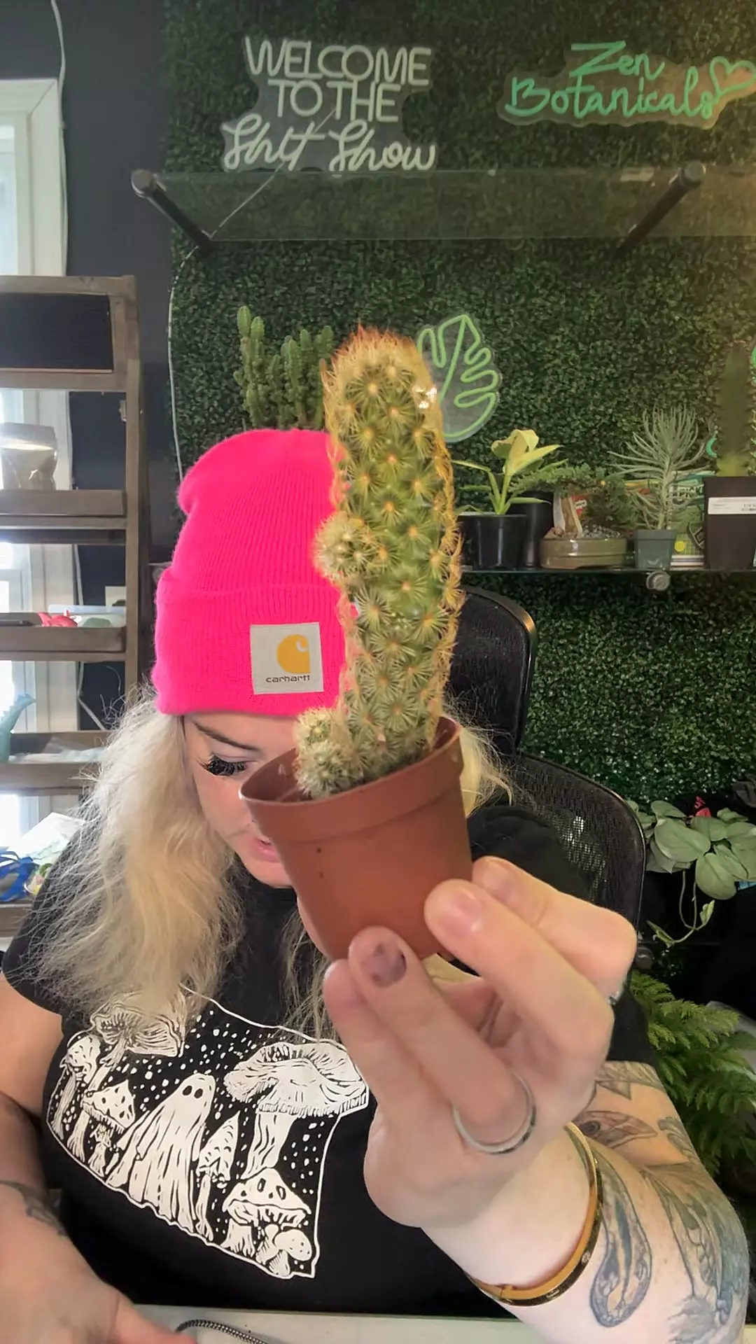 plant/yellow peanut cactus-0