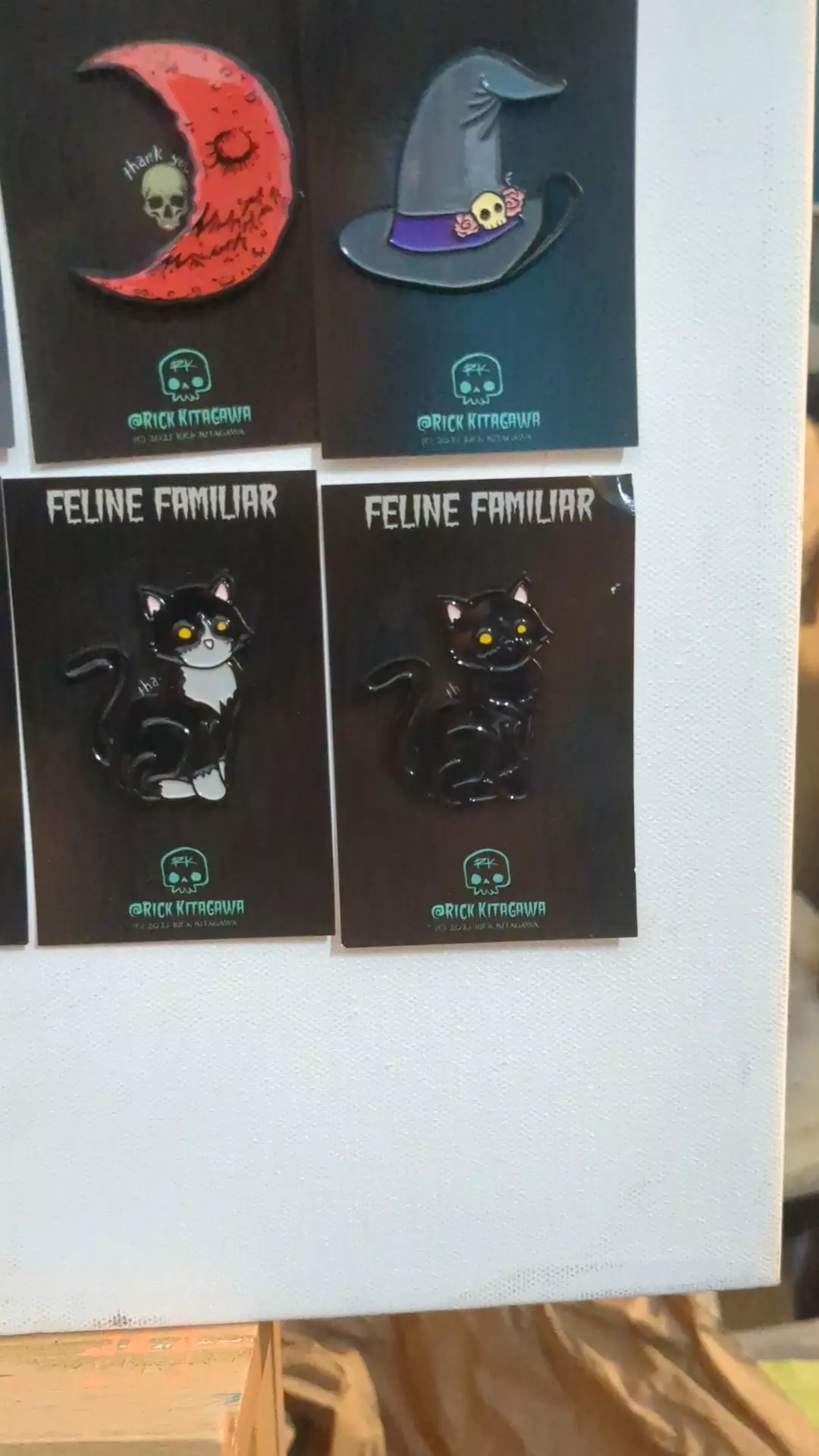 plant/all black cat familiar-0