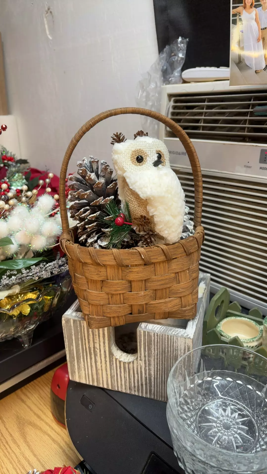 plant/Winter owl vignette-0