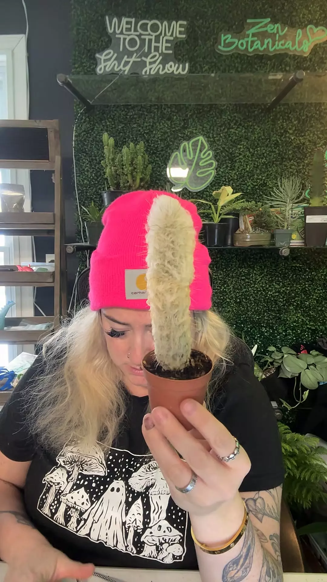 plant/epostoa melonostele-0