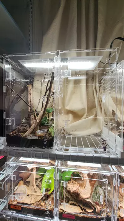 plant/8x8x13 acrylic-0-thumbnail