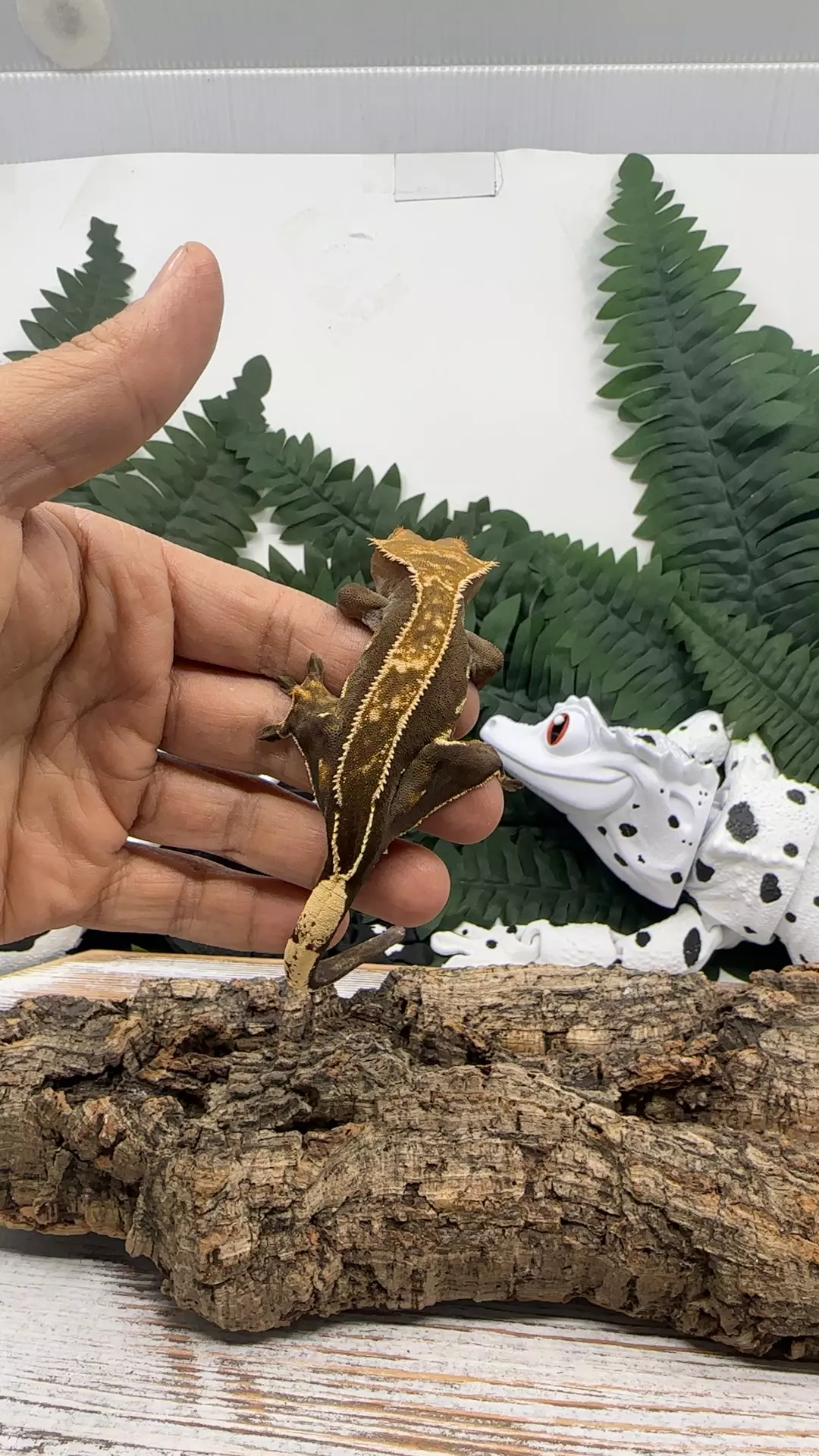 plant/406 Super Eb-0