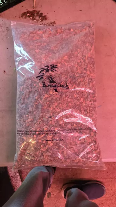 plant/1 gallon  bonsai jack pon mix /bonsai  mix-0-thumbnail