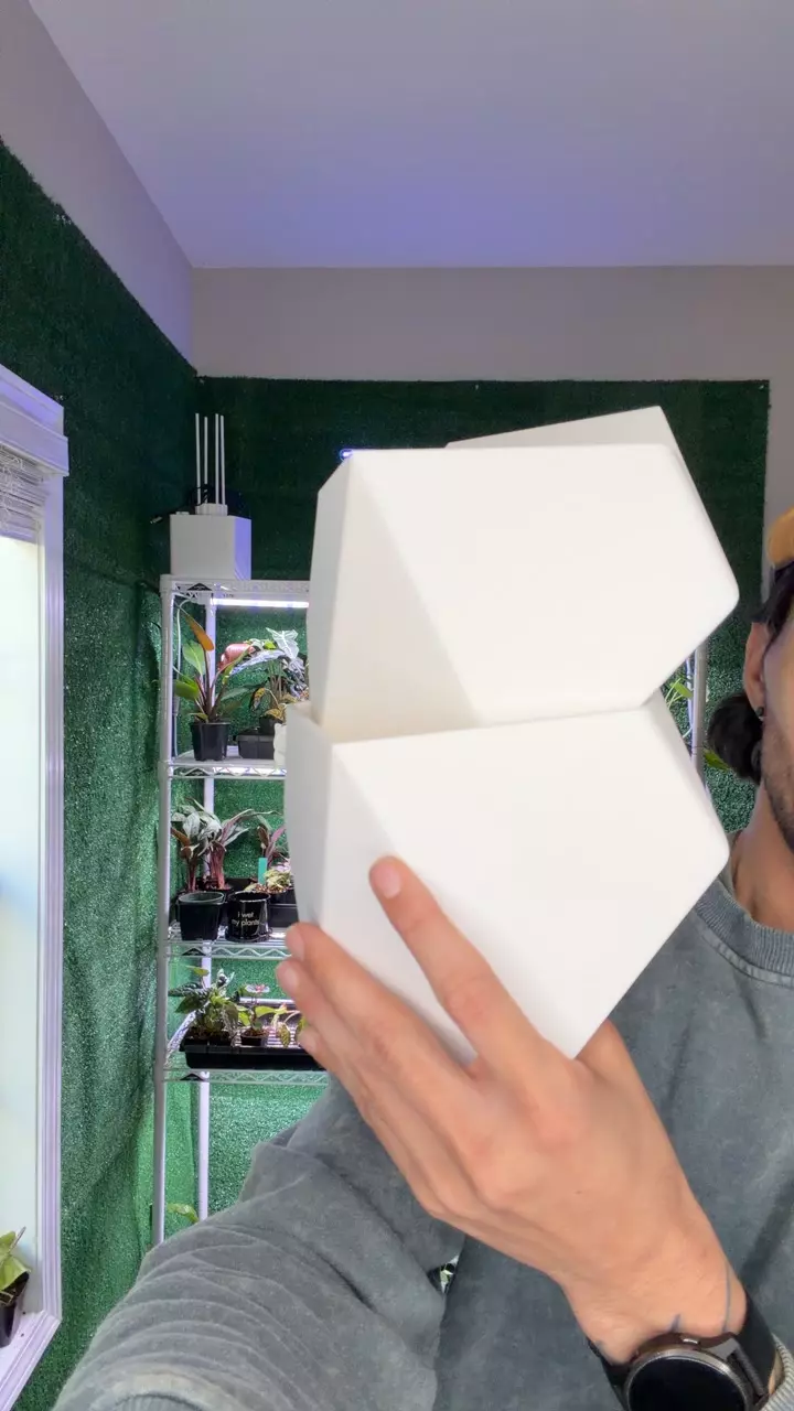 plant/2x wall mounted planter bundle-0