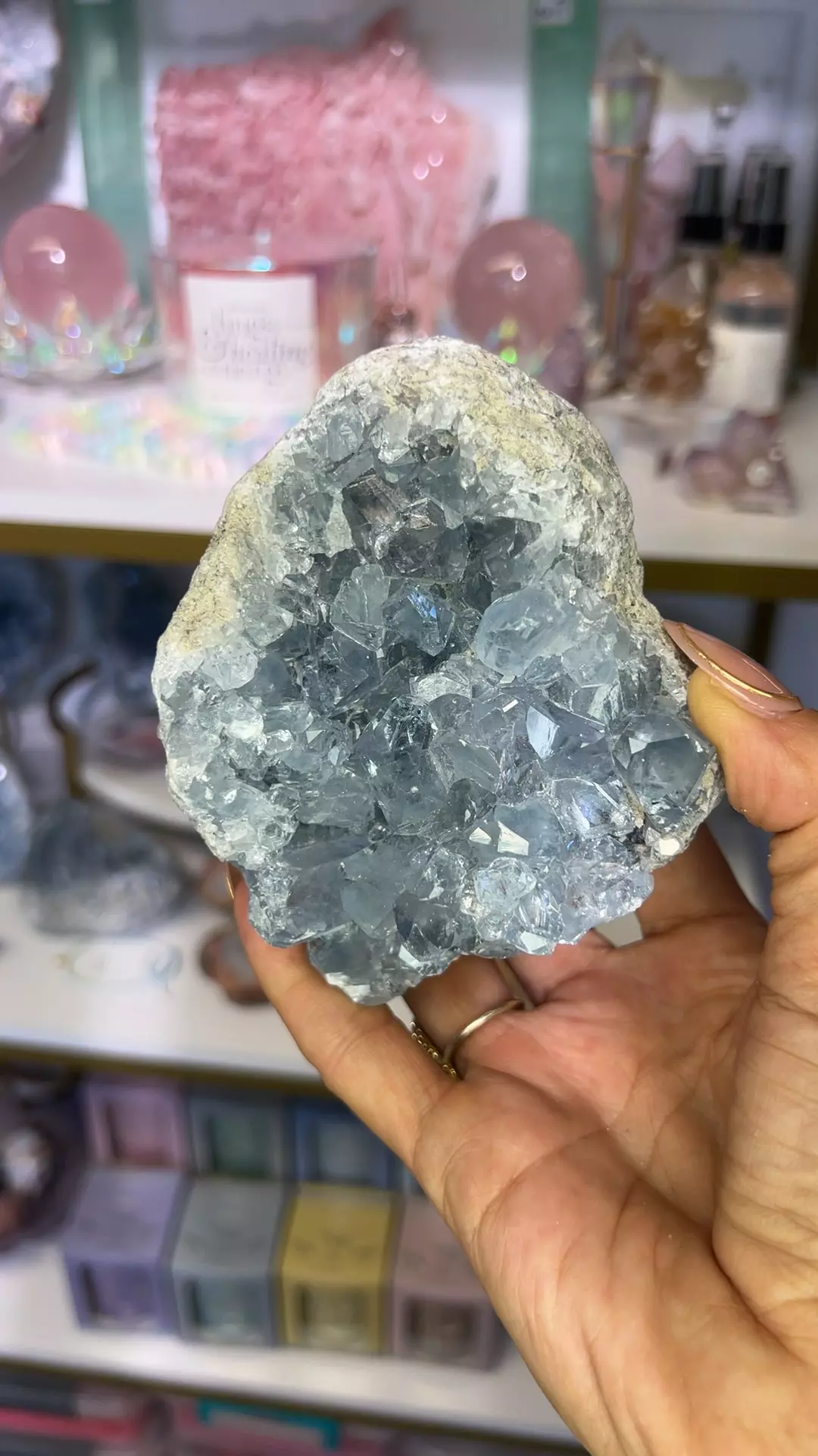plant/Celestite 95-0