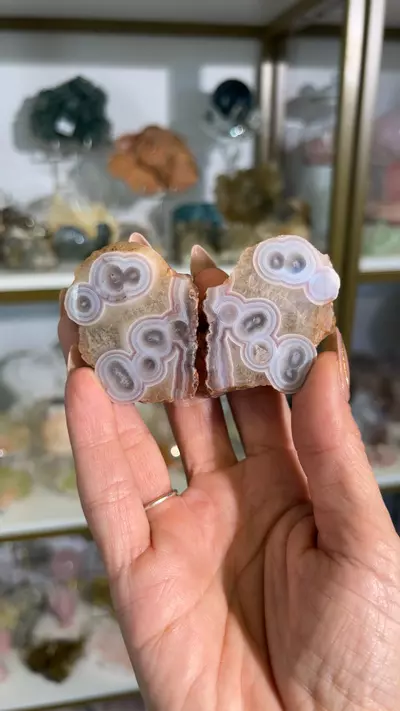 plant/agate pair-0-thumbnail