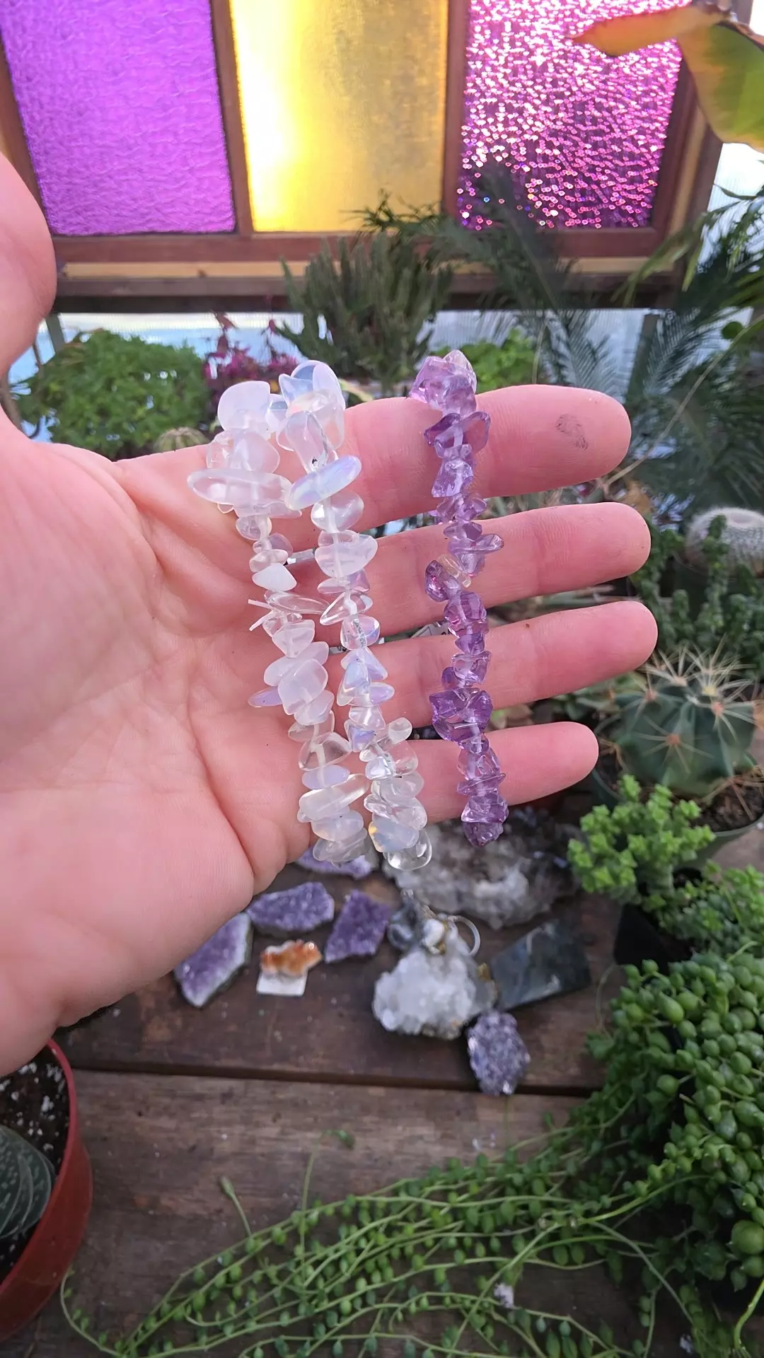 plant/purple ametrine bracelet-0