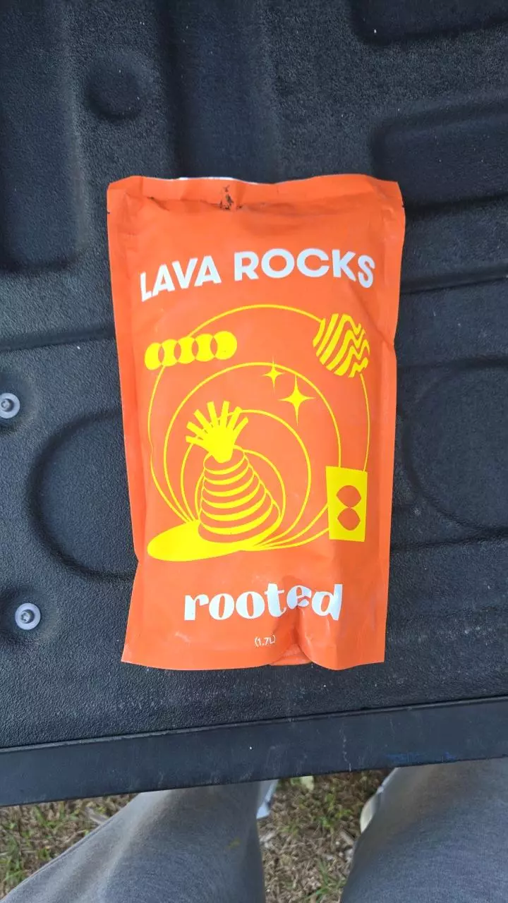 plant/Lava rocks fine stone great for alocaisa/ anthuriums-0