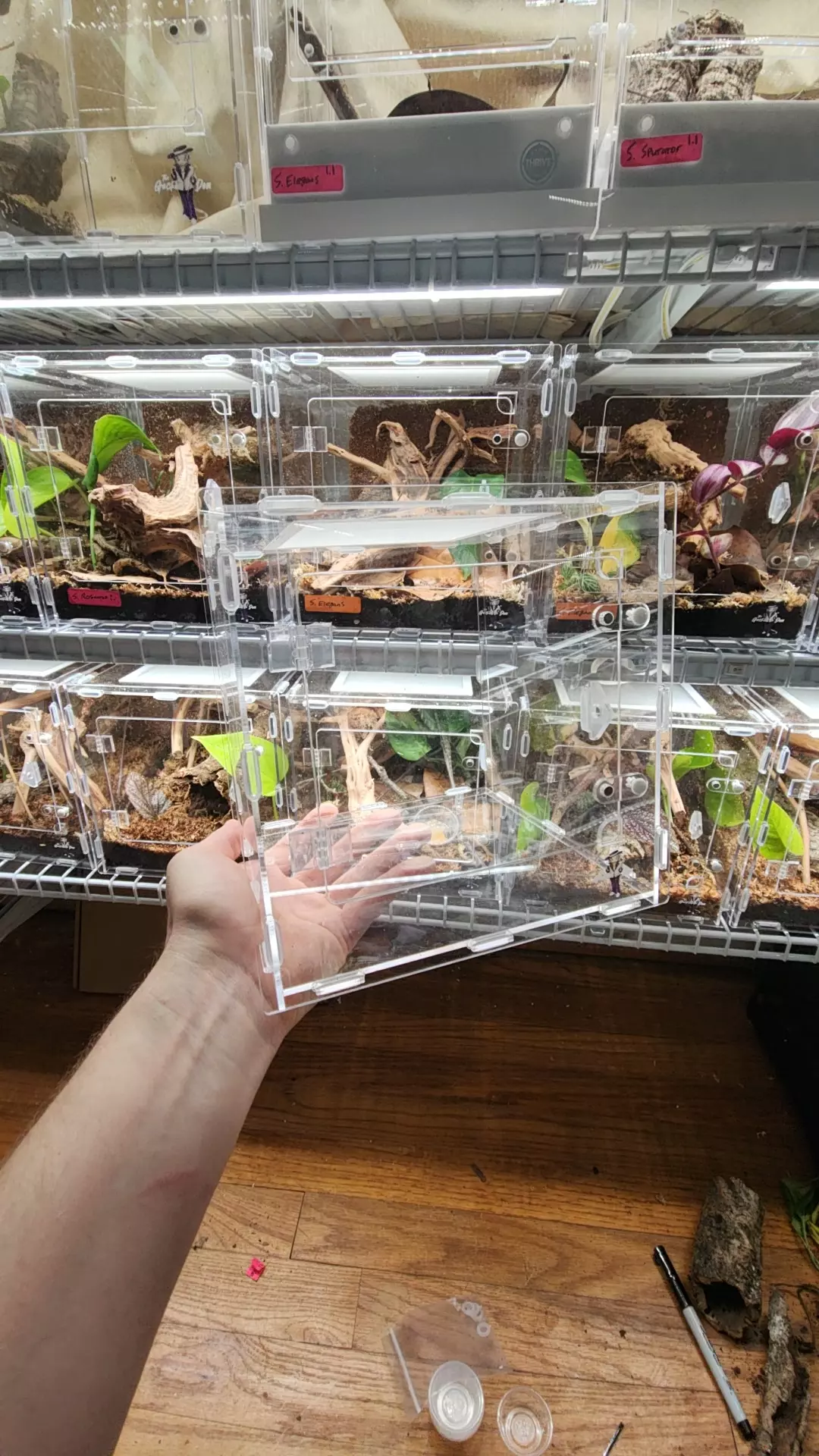 plant/8x8x8 acrylic front opening-0