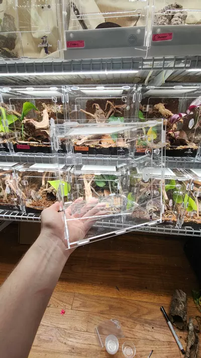 plant/8x8x8 acrylic front opening-0-thumbnail