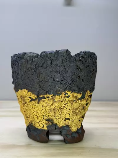 plant/Transition Footed 5x4.75H-0-thumbnail