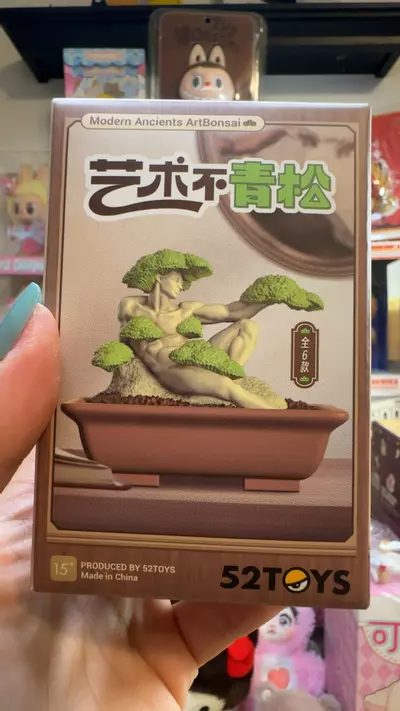 plant/art bonsai fig blind-0-thumbnail