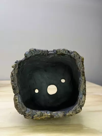 plant/Muddy Square 4.5x4.5-1-thumbnail