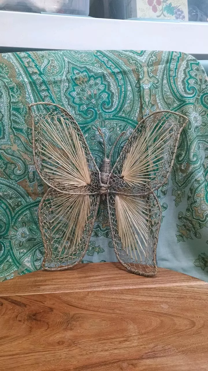 plant/Woven Butterfly Wall Decor-0