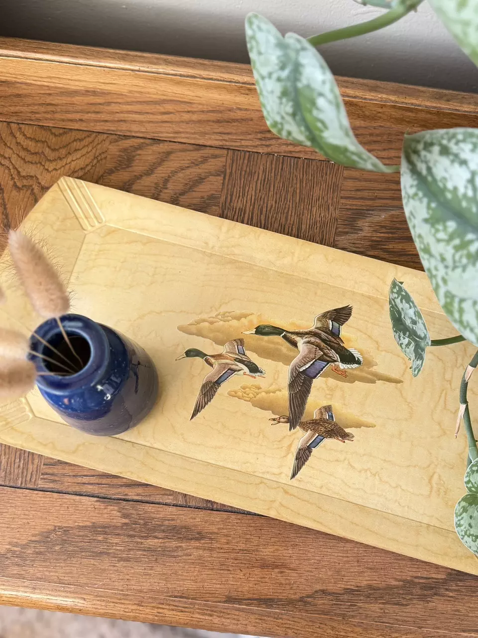 plant/Mid Century Tray-1