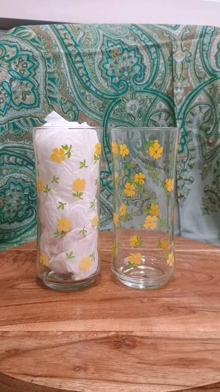 plant/Pair of Daisy Drinking Glasses-0