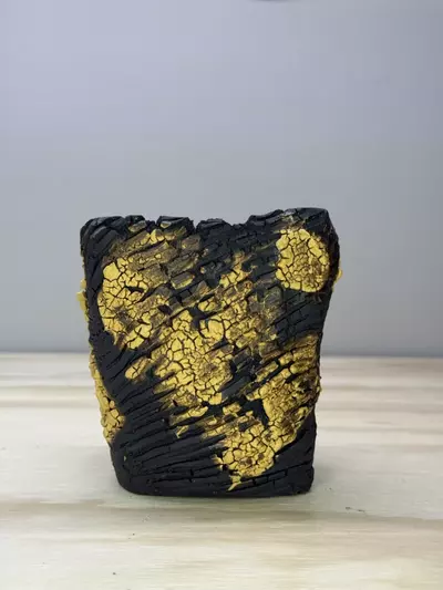 plant/Golden crackle Triangle 3.75x4H-0-thumbnail